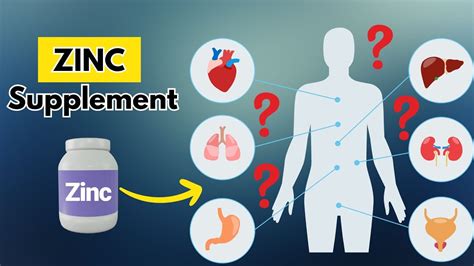 myflixer.zn|what does zinc do for the body.